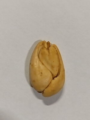 Mandle blanšírované nesolené